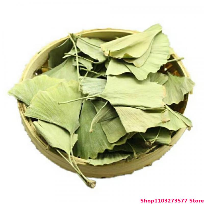Daun Ginkgo Biloba Kering Berk - Home Fragrance Candles ulasan dan harga