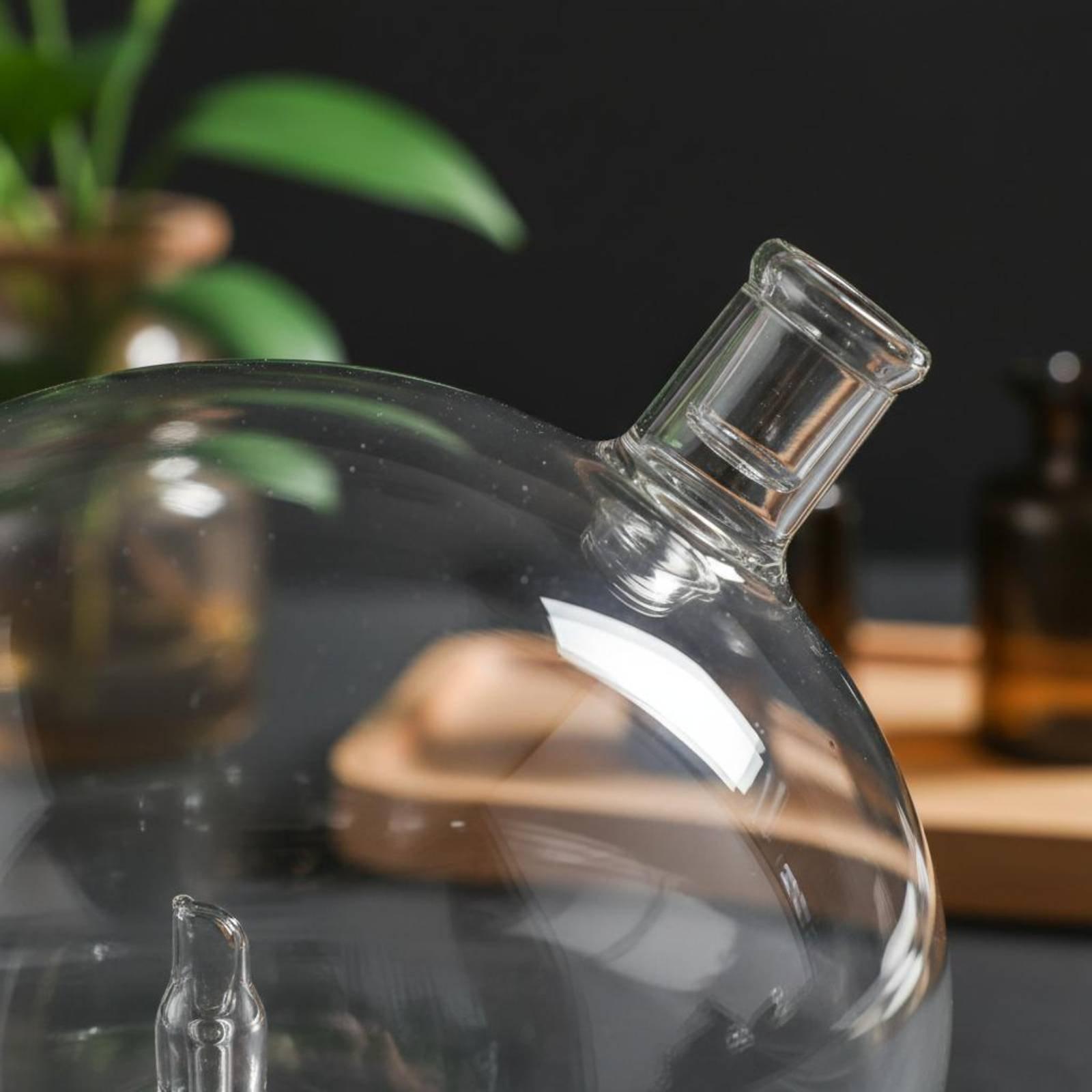 Botol Diffuser Pengganti Kaca  - Home Fragrance For Diffuser ulasan dan harga